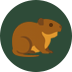 Gnagare